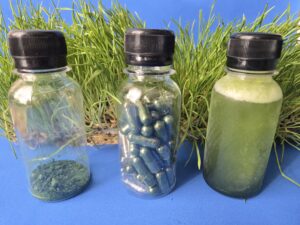 Jugo natural de pasto de trigo fresco liofilizado.